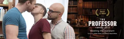 Best 3Way The Professor