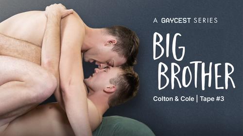 Big Brother | COLTON AND COLE Vol. 1